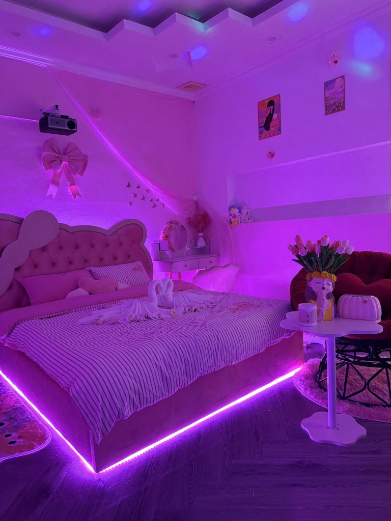 Princess Dream 2